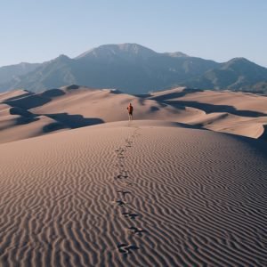 Meditation For Tending To The Roots Of Loneliness